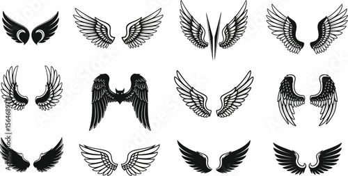 Collection of twelve different black and white vector wing designs on a white background displayed in rows