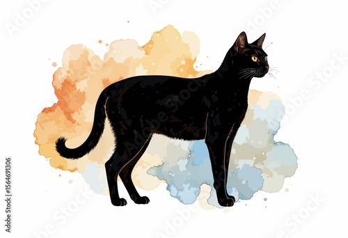 Black cat standing on watercolor background with orange and blue hues  