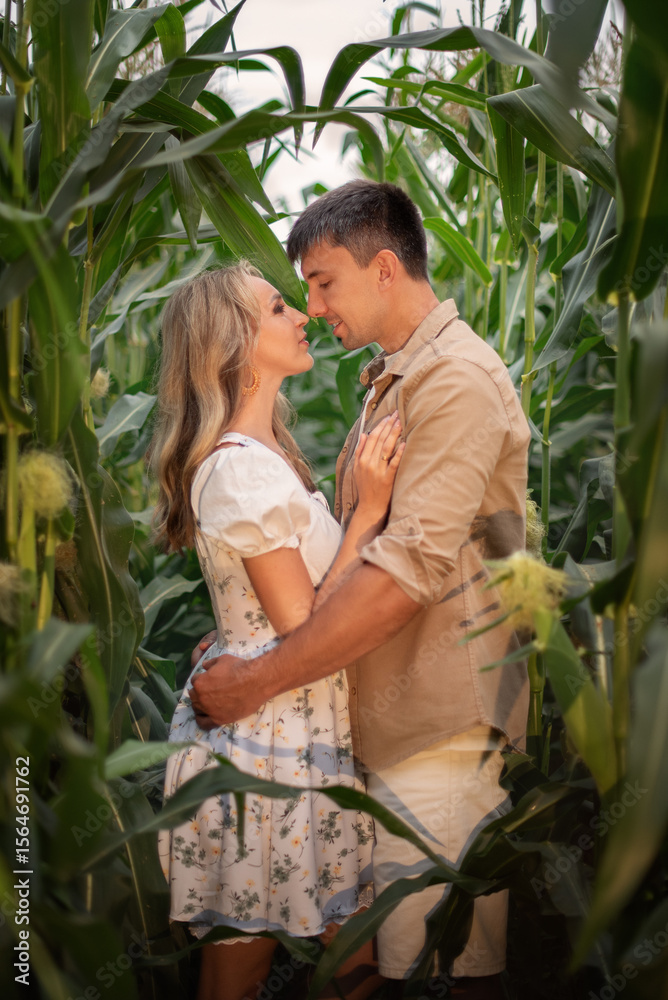 Obraz premium A young couple is walking in a cornfield. The guy has his arms around the girl in the middle of the corn. Lovers, a married couple
