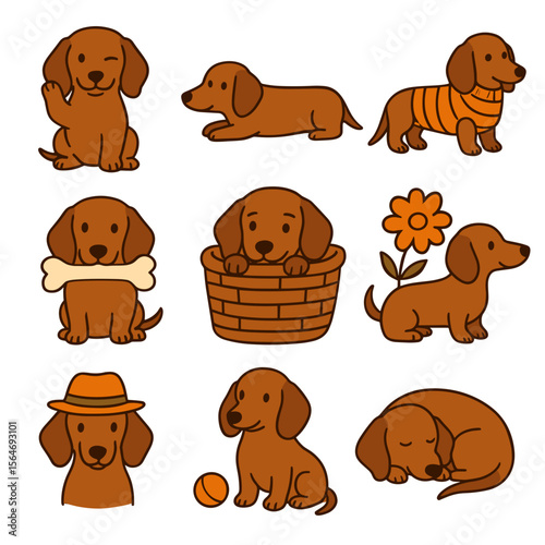 Cute dachshund dogs in various playful poses and activities isolated  