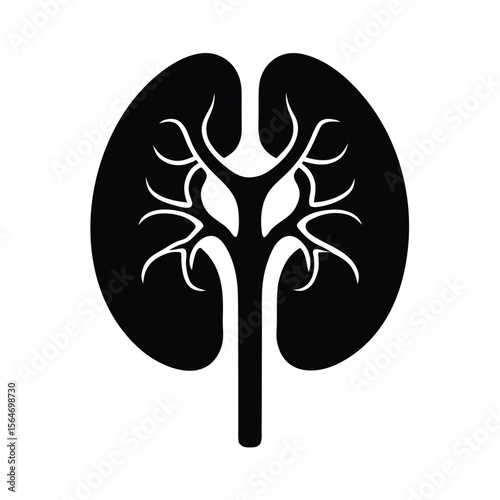 Stylized kidney anatomical organ black silhouette vector illustration
