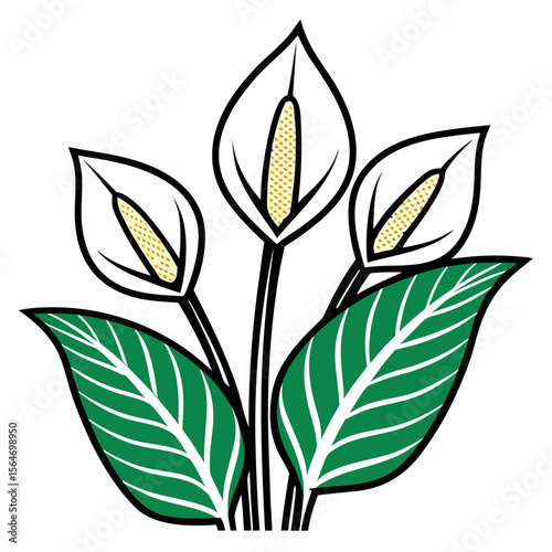 White calla lilies with green leaves calla lily white flower