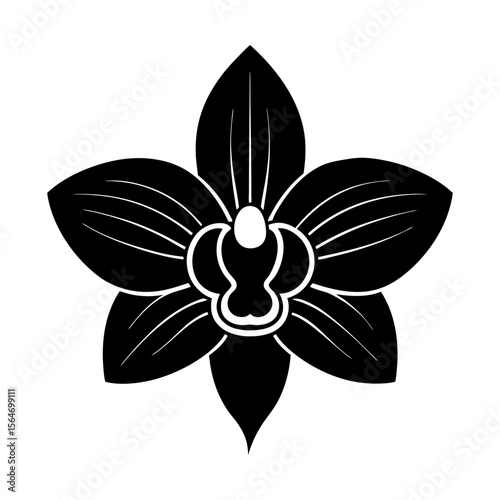 Elegant orchid flower floral blossom plant botanical vector art silhouette