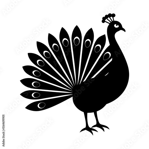 Elegant peacock illustration avian wildlife bird design art silhouette