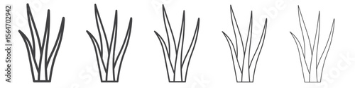 Aloe vera icon simple illustration collection symbol