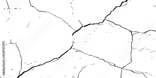 "High-contrast cracked wall texture with black fracture lines on a white background. Perfect for grunge designs, aged surfaces, urban decay effects, or abstract graphic overlays"