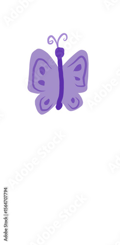 butterfly on white background