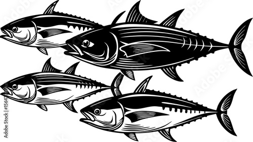 tuna--bluefin--yellowfin--albacore--vector-art