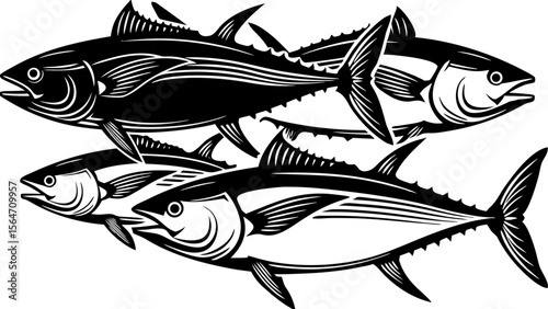tuna--bluefin--yellowfin--albacore--vector-art (1)