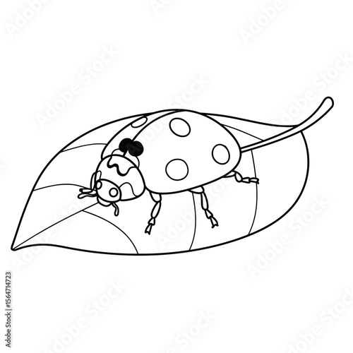 Black-and-white line art of a ladybug with spotted wings resting on a veined, curved leaf.