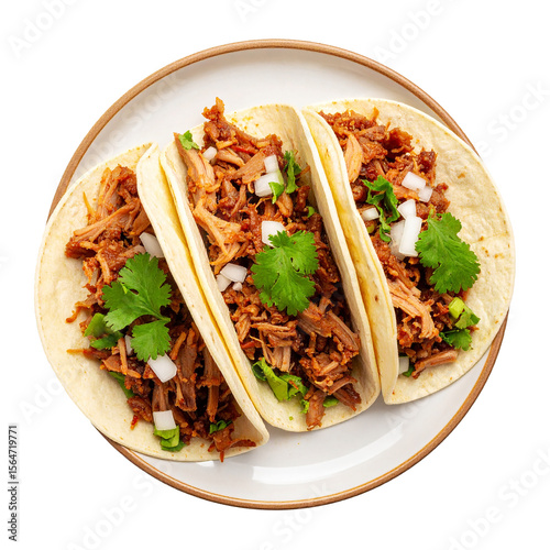 Traditional Mexican Carnitas Taco with Cilantro and Onion