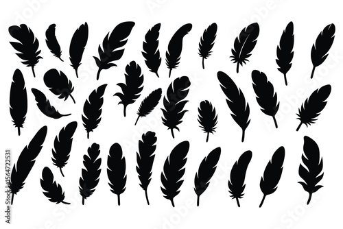 Collection of various black feather silhouettes isolated on white background