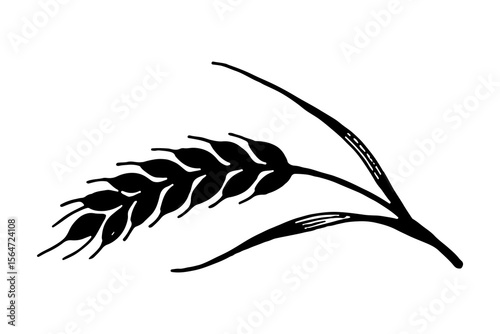 Barley vector engraving style illustration