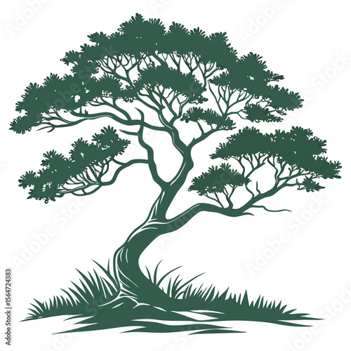 Simple juniper tree icon, dense scaled leaves, a classic evergreen design.