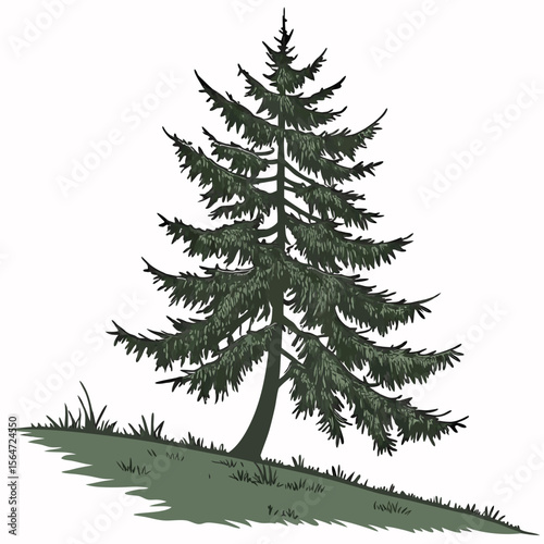 Simple spruce tree icon, dense needles, a classic evergreen design.