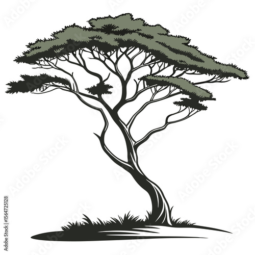 Symmetrical cypress tree icon, slender conical shape, a classic evergreen design.