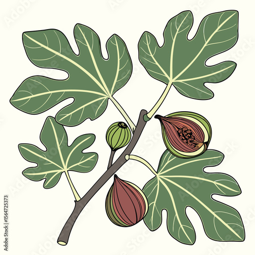 Vibrant fig tree icon, large lobed leaves and purple fruits, a unique simple design.