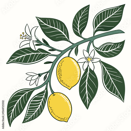 Vibrant lemon tree icon, ripe yellow fruits on green leaves, a zesty simple design.