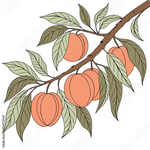 Vibrant peach tree icon, ripe fuzzy fruits on green leaves, a sweet summer design.