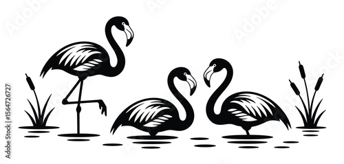 Black and White Flamingo Silhouette in a Marsh