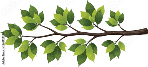 A detailed illustration of a tree branch with green leaves against a white background artwork design