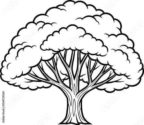 Illustration of a deciduous tree with a thick trunk and lush foliage in black and white style