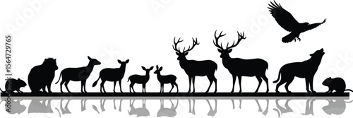Silhouette of various animals including deer wolf eagle and rodents with reflection on white background