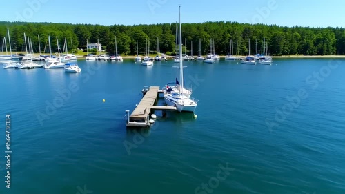 Picturesque Bay with Yachts and Boats Moored Near a Forest on a Summer Day