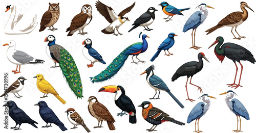 A collection of various bird species including owls swans peacocks and other colorful birds standing