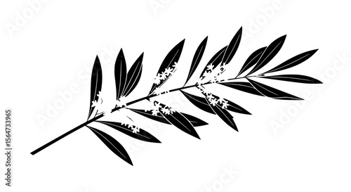 Green fern leaf, natural botanical element
