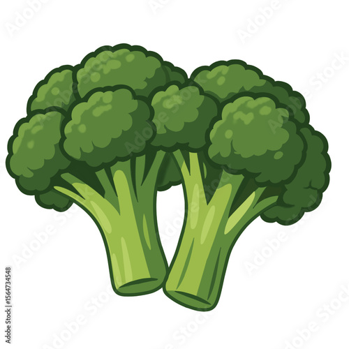 Illustration of Two Broccoli Florets