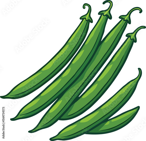 Illustration of Fresh Green String Beans