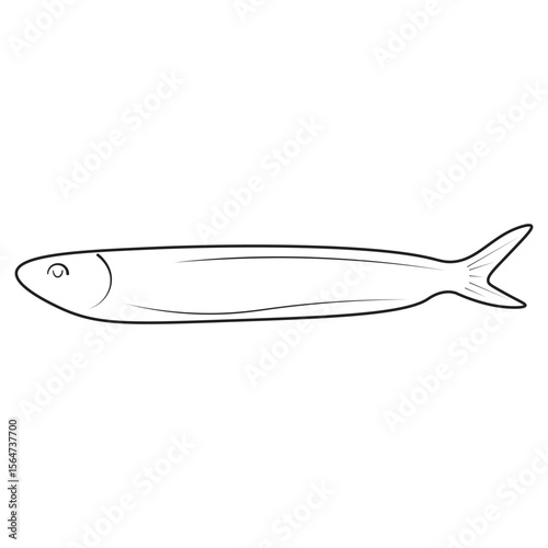 Simple line art of an anchovy fish, ideal for seafood menus, marine biology visuals, educational charts, fishing guides, or culinary illustrations in vector style.