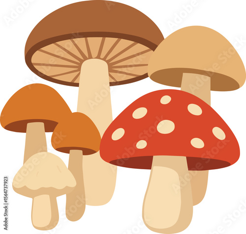 Illustration of Assorted Wild Mushrooms