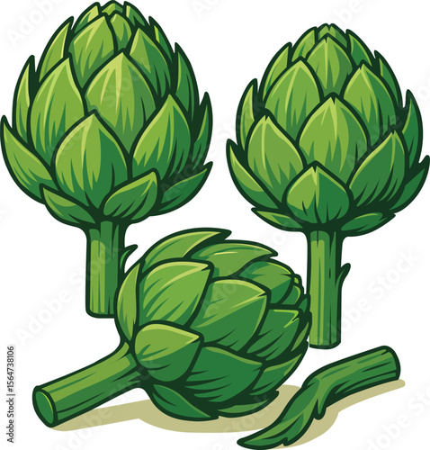 Fresh Artichoke Vegetable Vector Illustration