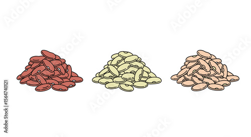 Variety of Legumes and Pulses Seeds on Display