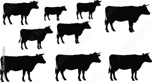 Silhouette collection of various domestic cattle, including adult cows and young calves, isolated on white for agricultural and farm animal design.