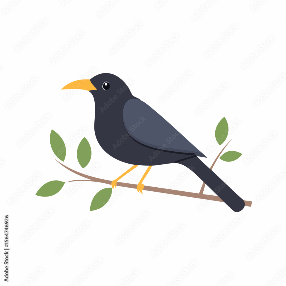 Fototapeta premium Blackbird Perched on Branch Nature Illustration
