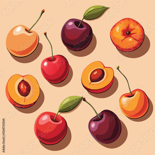 Realistic Vector Flat Lay of Assorted Stone Fruits Plums Peaches Nectarines and Apricots