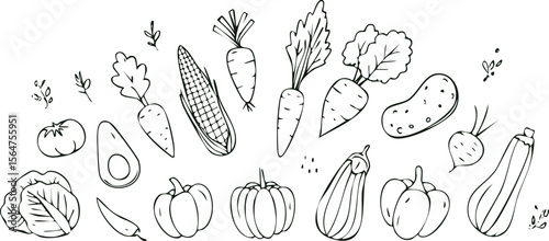 Vegetables doodle drawing collection such as carrots, corn, lettuce, broccoli, tomato, pepper, potato, etc. hand-drawn vector illustrations of doodles in black,doodle, product, vegetable, corn, 