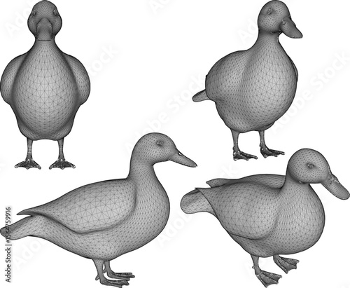 silhouette vector illustration of duck animal design with beak on farm for meat stock