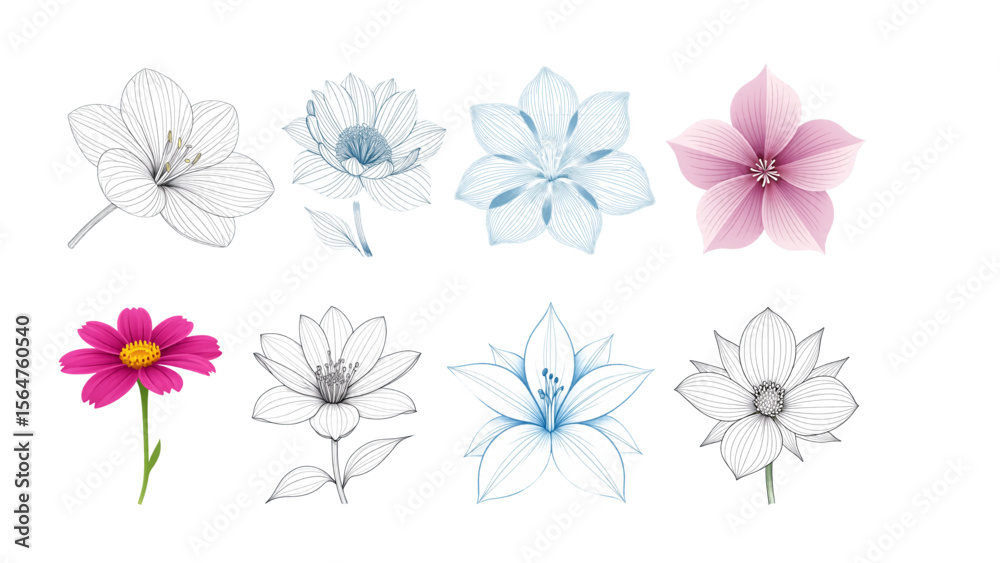 Obraz premium set of vector flowers