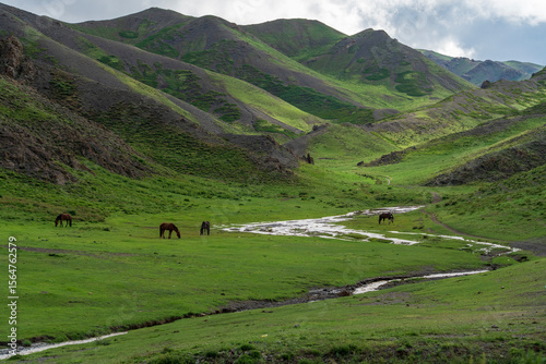 Green mountain valley and stream in Yolyn Am, Gobi Gurvansaikhan National Park, Mongolia
