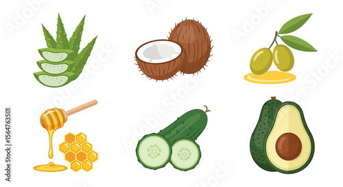 Natural Skin Care Ingredients Aloe Vera, Coconut, Olive, Honey, Cucumber, and Avocado for Healthy Radiant Skin