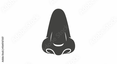 Illustration of a human nose in a dark gray color on a white background in a simple vector style