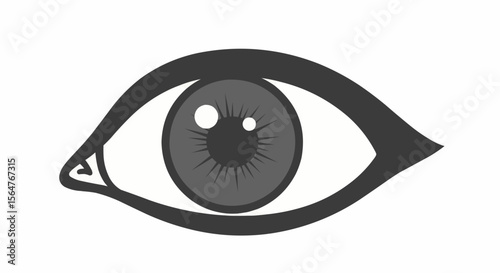 A stylized eye illustration with a gray iris and dark outline on a white background image design