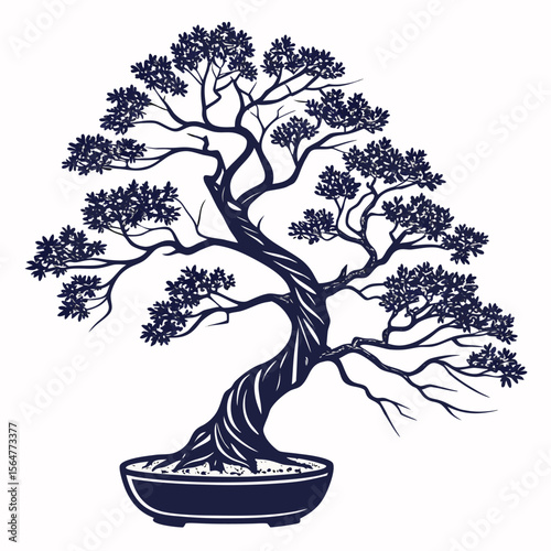 bonsai tree on a white background