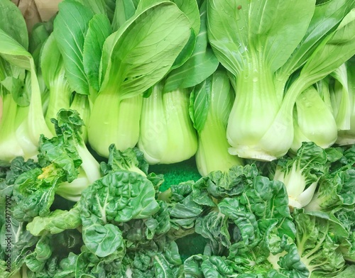 Fresh raw green pak choi lettuce.