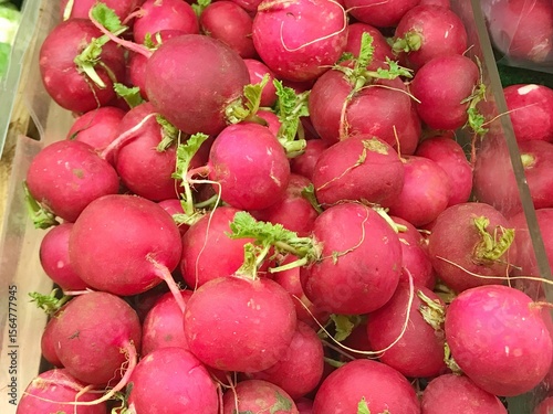 Fresh small red garden radish.