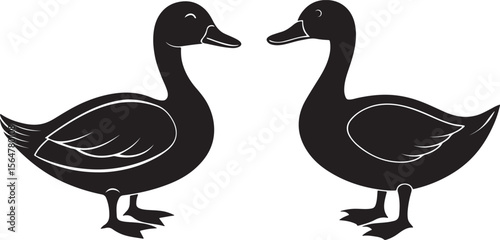 goose and duck